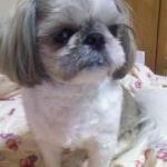 Songjeong Rice House